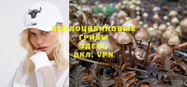 гидропоника Богданович