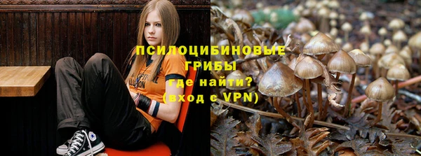 гидропоника Богданович