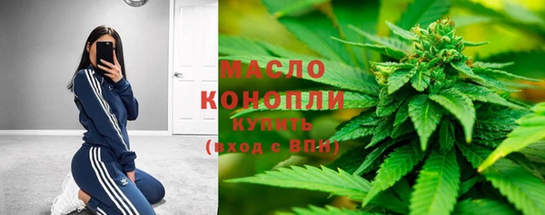 гидропоника Богданович