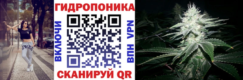 Марихуана OG Kush  Великий Устюг 